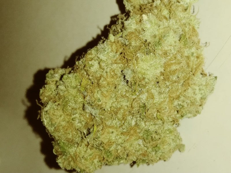 American Blackberry Hybrid - Indoor AAA Cannabis 20g | Dis-can Johannesburg - image 5