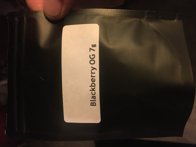American Blackberry Hybrid - Indoor AAA Cannabis 20g | Dis-can Johannesburg - image 7