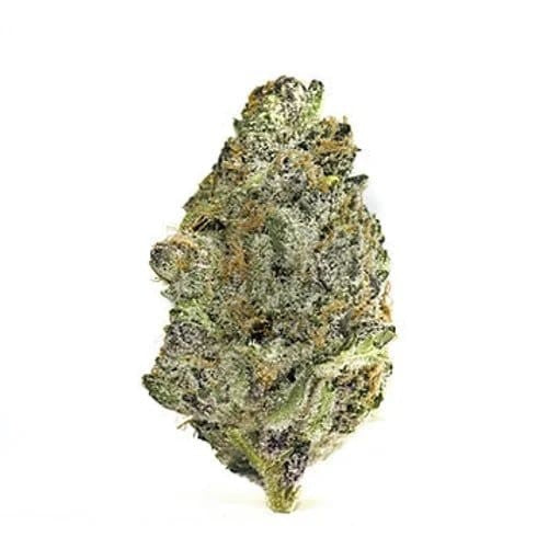 American Super Boof Hybrid - Indoor AAA Cannabis 1g | Dis-can Johannesburg - image 7