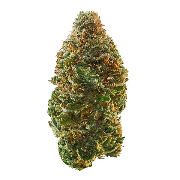 Andromeda Hybrid - Indoor AAA Cannabis 10g | Dis-can Johannesburg - image 1