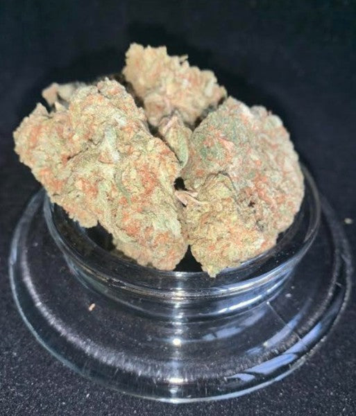 Animal Cookies Hybrid - Indoor AAA Cannabis 20g | Dis-can Johannesburg - image 6