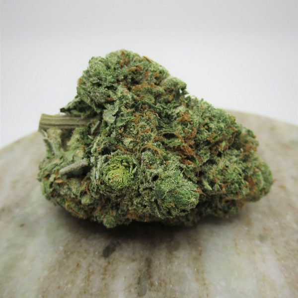 Animal Cookies Hybrid - Indoor AAA Cannabis 20g | Dis-can Johannesburg - image 7