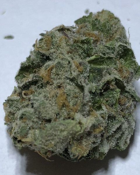 Animal Cookies Hybrid - Indoor AAA Cannabis 20g | Dis-can Johannesburg - image 8