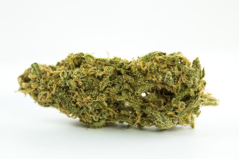Animal Cookies Hybrid - Indoor AAA Cannabis 20g | Dis-can Johannesburg - image 9