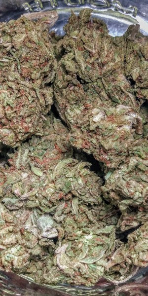 Animal Cookies Hybrid - Indoor AAA Cannabis 20g | Dis-can Johannesburg - image 10