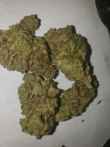 Animal Tsunami Hybrid - Indoor AAA Cannabis 20g | Dis-can Johannesburg - image 1