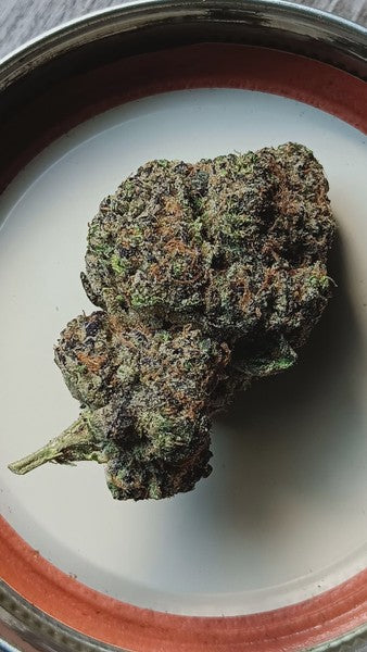Animal Tsunami Hybrid - Indoor AAA Cannabis 20g | Dis-can Johannesburg - image 3
