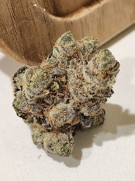 Animal Tsunami Hybrid - Indoor AAA Cannabis 20g | Dis-can Johannesburg - image 4