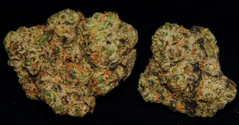 Animal Tsunami Hybrid - Indoor AAA Cannabis 20g | Dis-can Johannesburg - image 5