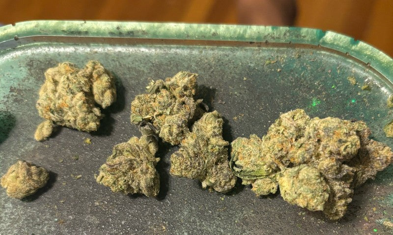 Animal Tsunami Hybrid - Indoor AAA Cannabis 20g | Dis-can Johannesburg - image 7