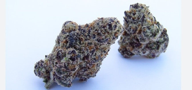 Apple Fritter Purple Hybrid - Indoor AAA Cannabis 5g | Dis-can Johannesburg - image 1