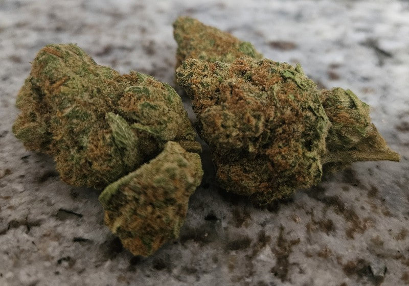 BCT Hybrid - Tunnel Cannabis 3g | Dis-can Johannesburg - image 3