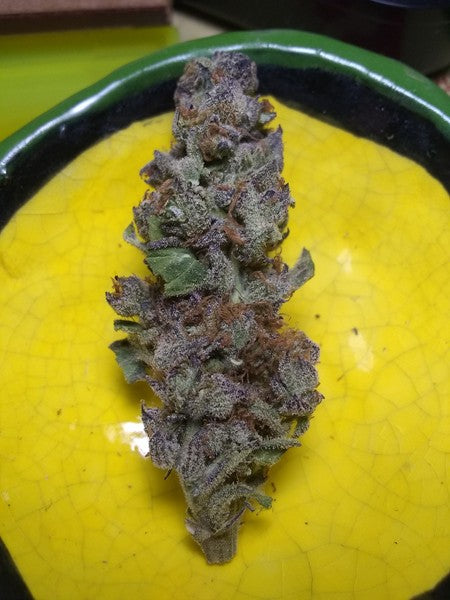 BCT Hybrid - Tunnel Cannabis 3g | Dis-can Johannesburg - image 4