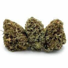 Berry Blast Hybrid - Popcorn Buds Cannabis 3g | Dis-can Johannesburg - image 2