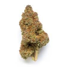 Black Cherry Pie Hybrid - Popcorn Buds Cannabis 1g | Dis-can Johannesburg - image 4