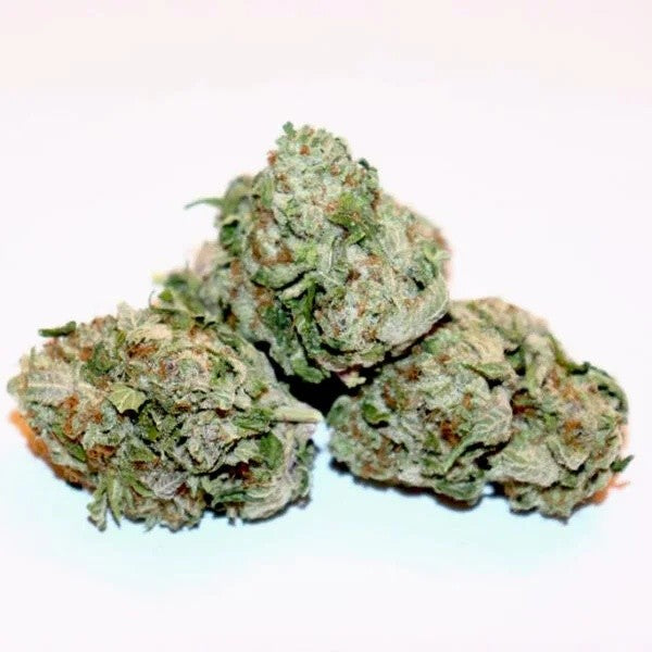 Black Cherry Hybrid - Indoor AAA Cannabis 20g | Dis-can Johannesburg - image 1