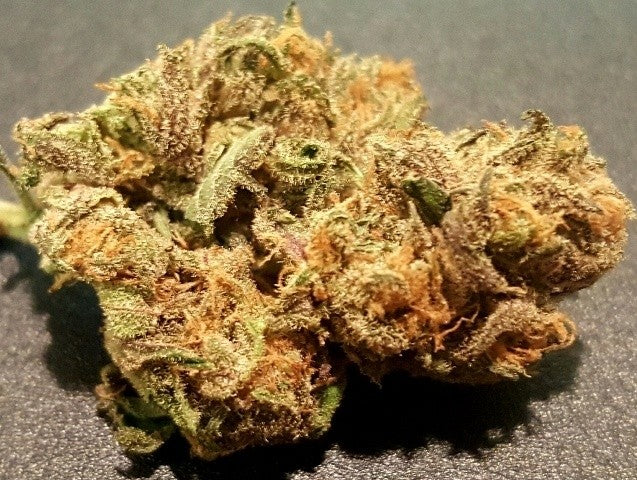 Black Cherry Hybrid - Indoor AAA Cannabis 20g | Dis-can Johannesburg - image 3