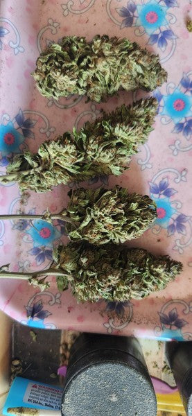 Blackberry Thai Hybrid - Indoor AAA Cannabis 1g | Dis-can Johannesburg