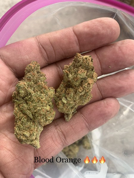 Blood Orange Hybrid - Indoor AAA Cannabis 20g | Dis-can Johannesburg - image 2