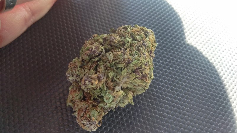 Blood Orange Hybrid - Indoor AAA Cannabis 20g | Dis-can Johannesburg - image 3