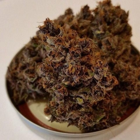 Blood Orange Hybrid - Indoor AAA Cannabis 20g | Dis-can Johannesburg - image 4