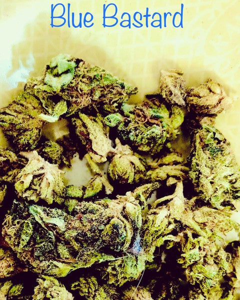Blue Bastard Hybrid - Tunnel Cannabis 3g | Dis-can Johannesburg