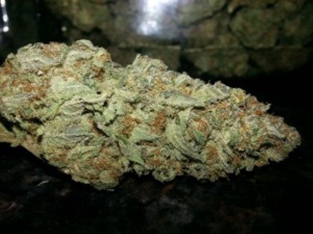 Blue Bastard Hybrid - Tunnel Cannabis 3g | Dis-can Johannesburg - image 2