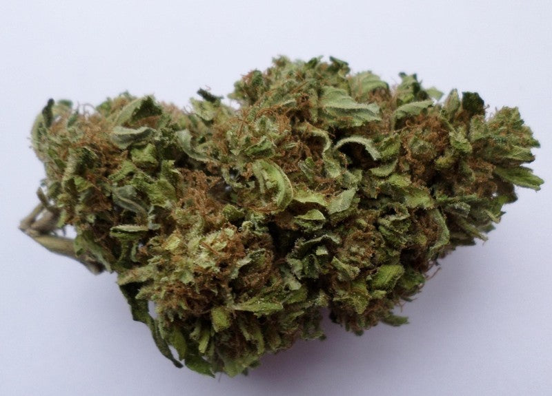Blue Cheese Hybrid - Indoor Premium Cannabis 3g | Dis-can Johannesburg - image 2