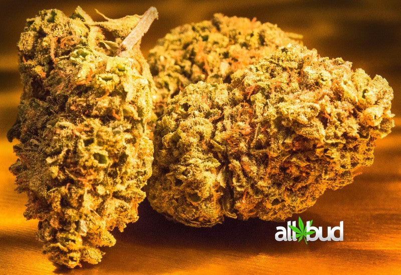 Blue Cheese Hybrid - Indoor Premium Cannabis 3g | Dis-can Johannesburg - image 7