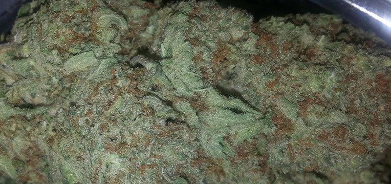 Blue Cheese Hybrid - Indoor Premium Cannabis 3g | Dis-can Johannesburg - image 8