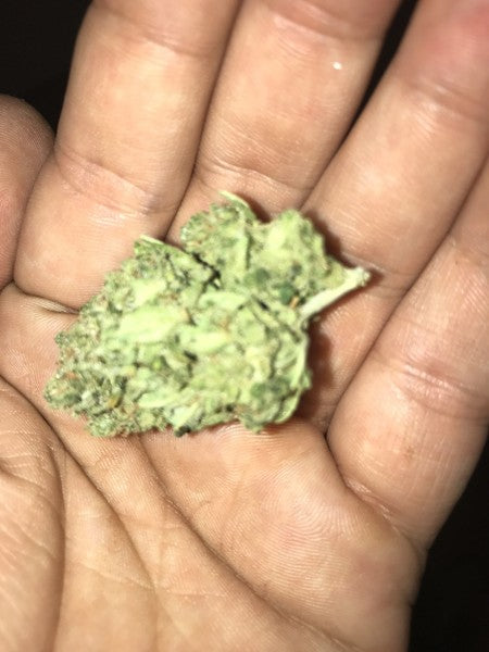 Blue Cheese Hybrid - Indoor Premium Cannabis 3g | Dis-can Johannesburg