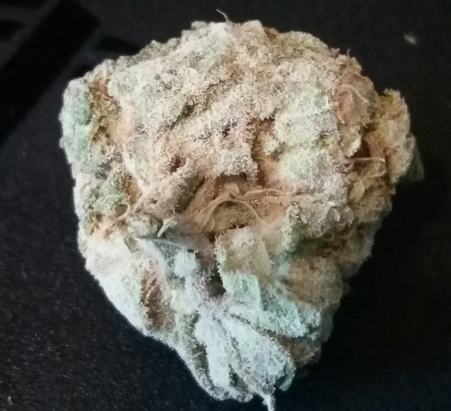 Blue Cheese Hybrid - Indoor Premium Cannabis 3g | Dis-can Johannesburg
