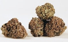 Blue Cheese Hybrid - Indoor Premium Cannabis 3g | Dis-can Johannesburg