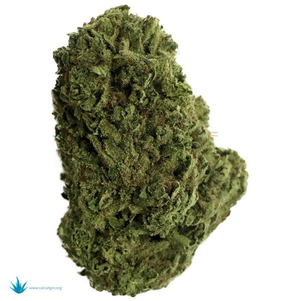 Blue Cheese Hybrid - Indoor Premium Cannabis 3g | Dis-can Johannesburg - image 16