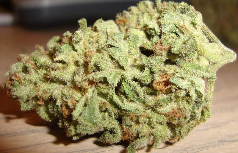 Blue Cheese Hybrid - Indoor Premium Cannabis 3g | Dis-can Johannesburg
