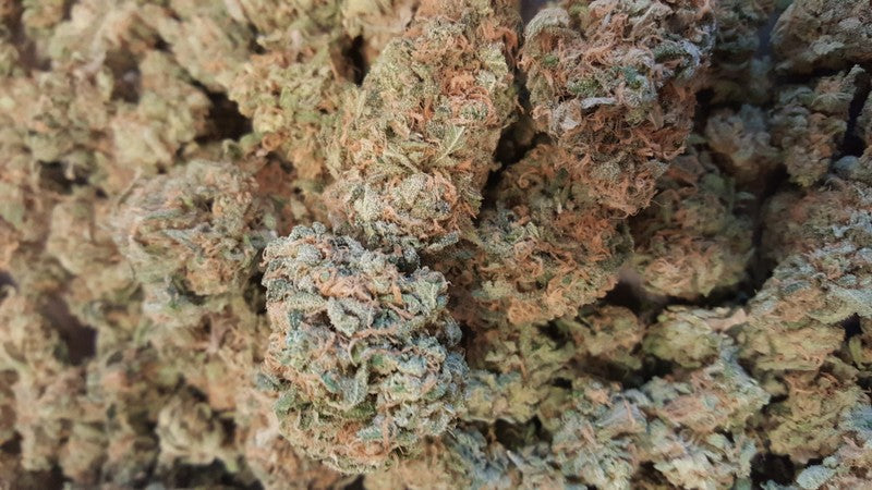 Blue Dream Hybrid - Indoor AAA Cannabis 5g | Dis-can Johannesburg
