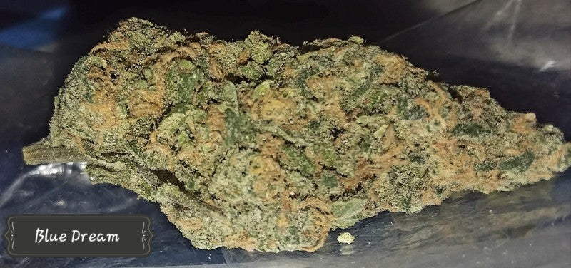 Blue Dream Hybrid - Indoor AAA Cannabis 5g | Dis-can Johannesburg - image 4