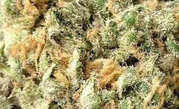 Blue Dream Hybrid - Indoor AAA Cannabis 5g | Dis-can Johannesburg