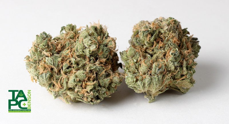 Blue Dream Hybrid - Indoor AAA Cannabis 5g | Dis-can Johannesburg - image 9