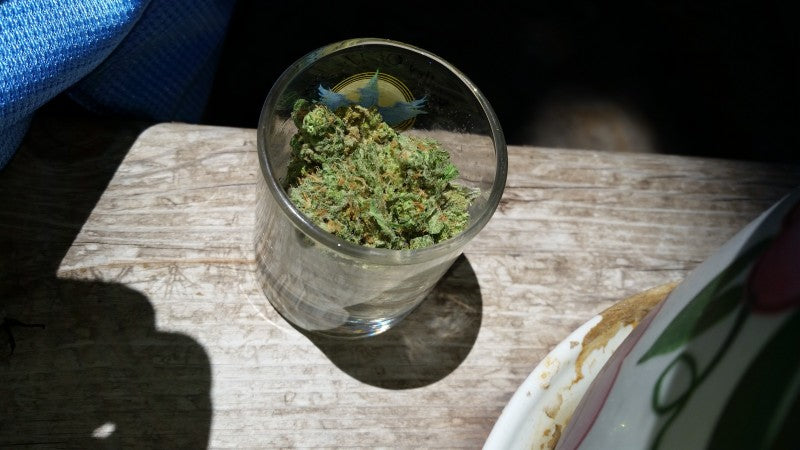 Blue Dream Hybrid - Indoor AAA Cannabis 5g | Dis-can Johannesburg