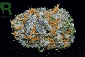Blue Dream Hybrid - Indoor AAA Cannabis 5g | Dis-can Johannesburg