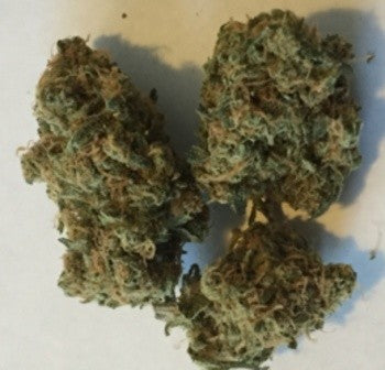 Blue Dream Hybrid - Indoor AAA Cannabis 5g | Dis-can Johannesburg