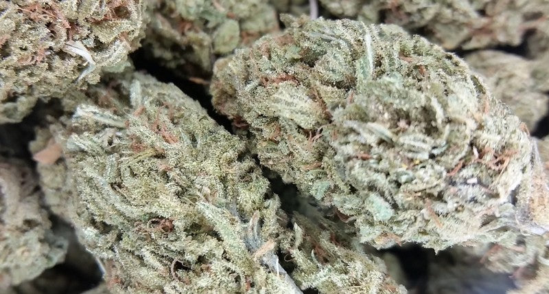 Blue Dream Hybrid - Indoor AAA Cannabis 5g | Dis-can Johannesburg