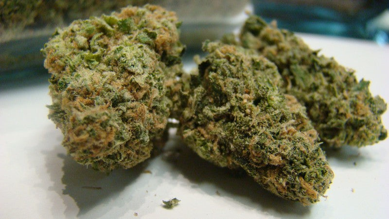 Blue Dream Hybrid - Indoor AAA Cannabis 5g | Dis-can Johannesburg - image 25