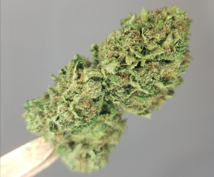 Blue Dream Hybrid - Indoor AAA Cannabis 5g | Dis-can Johannesburg - image 29