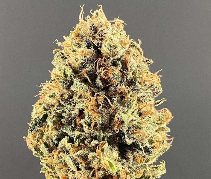 Blue Dream Hybrid - Indoor AAA Cannabis 5g | Dis-can Johannesburg - image 41