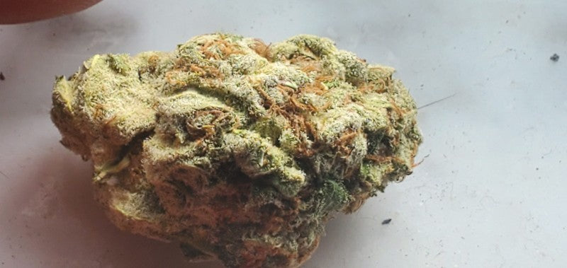 Blue Dream Hybrid - Indoor AAA Cannabis 5g | Dis-can Johannesburg - image 43