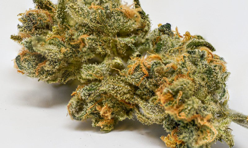 Blue Dream Hybrid - Indoor AAA Cannabis 5g | Dis-can Johannesburg - image 49