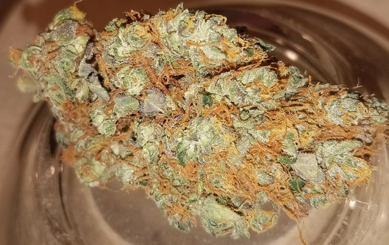 Blue Fire Hybrid - Tunnel Cannabis 1g | Dis-can Johannesburg - image 2