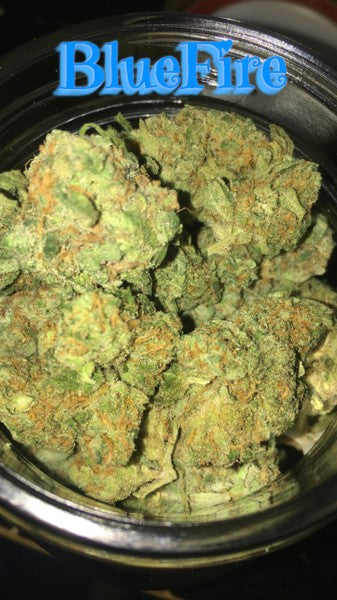 Blue Fire Hybrid - Tunnel Cannabis 1g | Dis-can Johannesburg - image 3